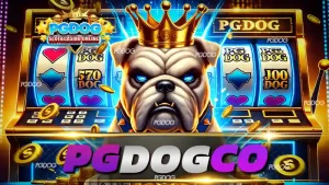 Pg dog co