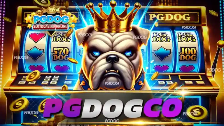 Pg dog co