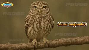 ตำนาน นกฮูกอธีนา