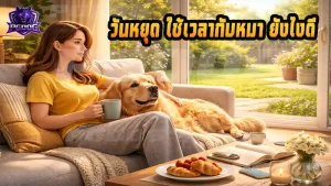 วันหยุด ใช้เวลากับหมา ยังไงดี